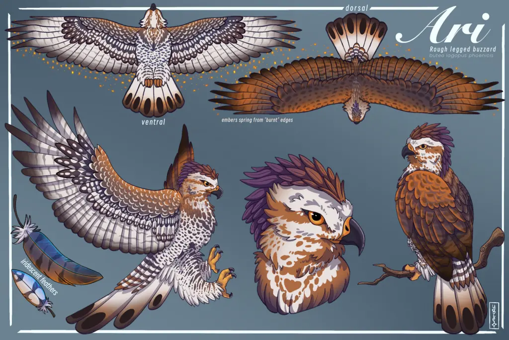 A finished rerefence sheet for a phoenix-inspired rough-legged buzzard.