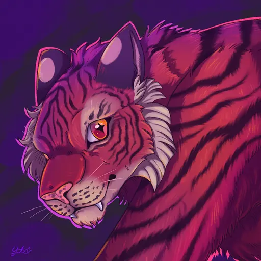 A headshot image of a Siberian Tiger.